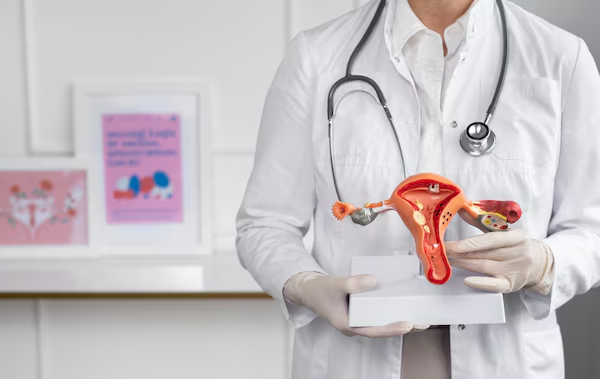 All Major Gynaecological, Abdominal, and Vaginal Procedures