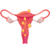 Laparoscopy