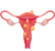 Laparoscopy