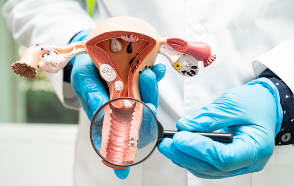 Gynaecology Surgeries