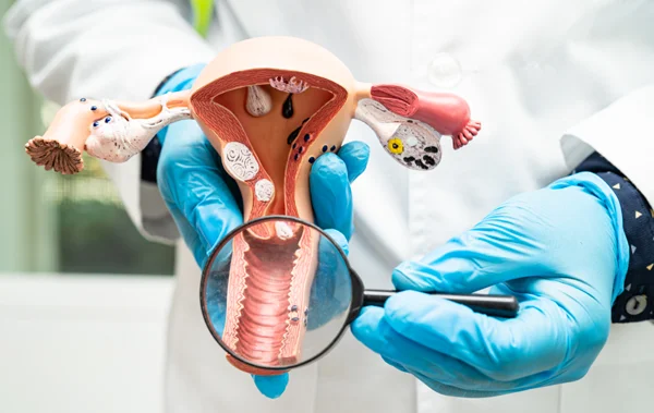 Gynaecology Surgeries